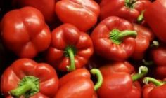 bell-peppers-1386467_640
